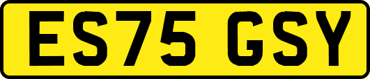 ES75GSY