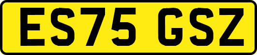ES75GSZ