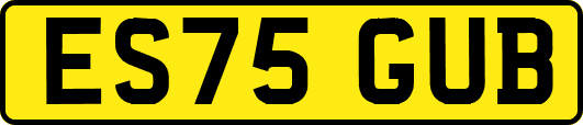 ES75GUB