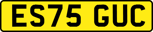 ES75GUC