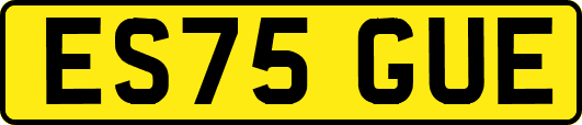 ES75GUE