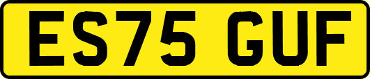 ES75GUF