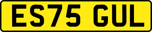 ES75GUL