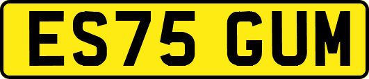 ES75GUM