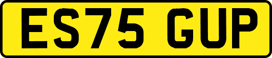 ES75GUP
