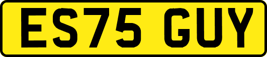 ES75GUY