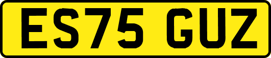 ES75GUZ
