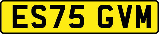 ES75GVM