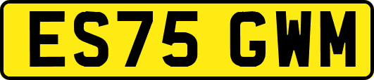 ES75GWM