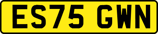 ES75GWN