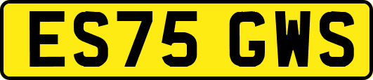ES75GWS