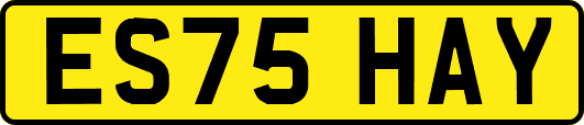 ES75HAY