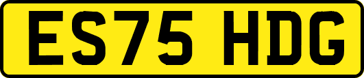 ES75HDG