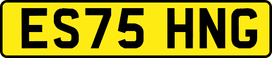 ES75HNG