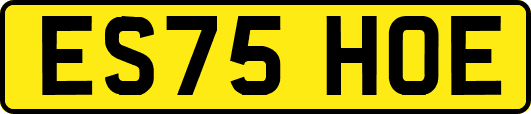 ES75HOE