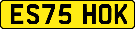 ES75HOK