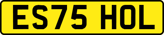 ES75HOL