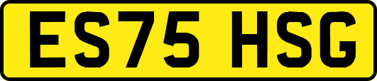 ES75HSG