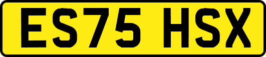 ES75HSX