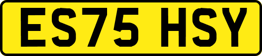 ES75HSY