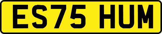 ES75HUM
