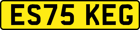 ES75KEG