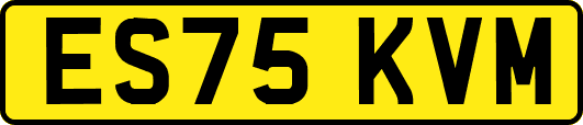 ES75KVM