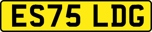 ES75LDG