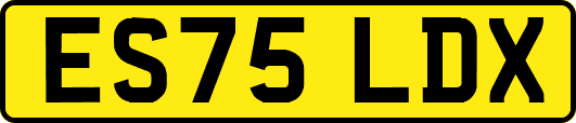 ES75LDX