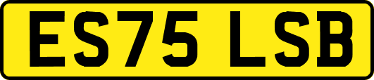 ES75LSB