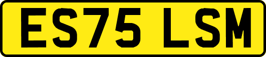 ES75LSM