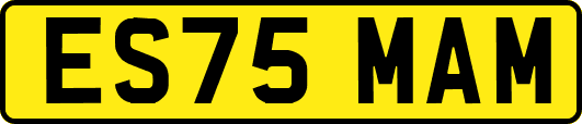 ES75MAM