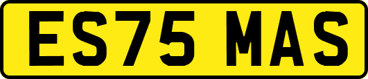 ES75MAS