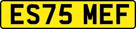 ES75MEF