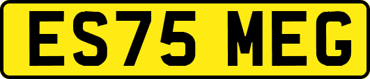 ES75MEG
