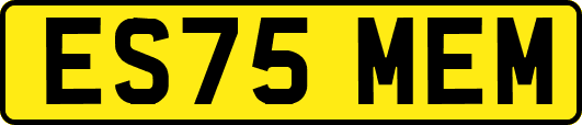 ES75MEM
