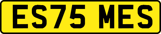ES75MES
