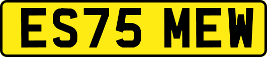 ES75MEW