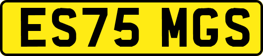 ES75MGS