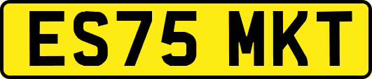 ES75MKT
