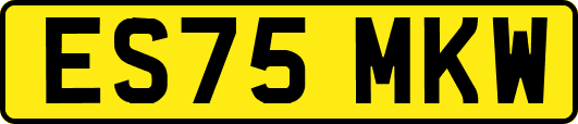 ES75MKW