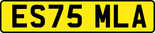 ES75MLA