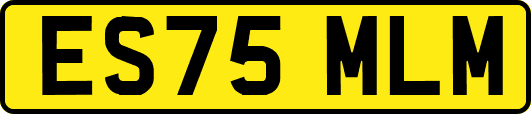 ES75MLM