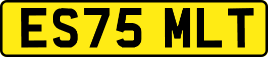 ES75MLT