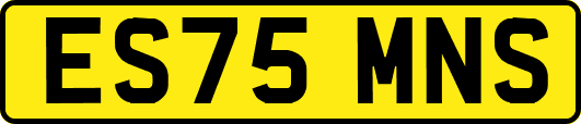 ES75MNS