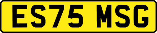 ES75MSG