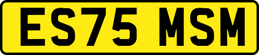ES75MSM