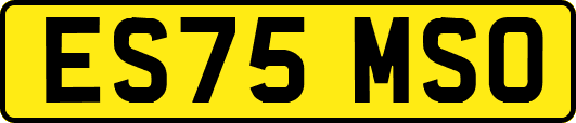 ES75MSO