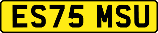 ES75MSU