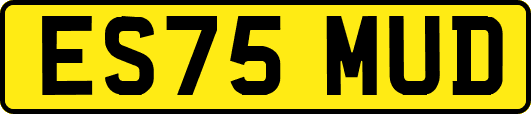 ES75MUD
